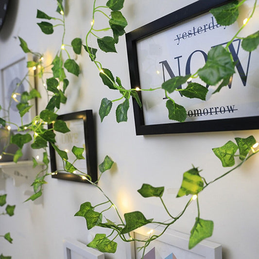 Ivy String Lights